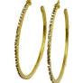 Alpha Hoops