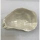 Oyster Tidbit Dish
